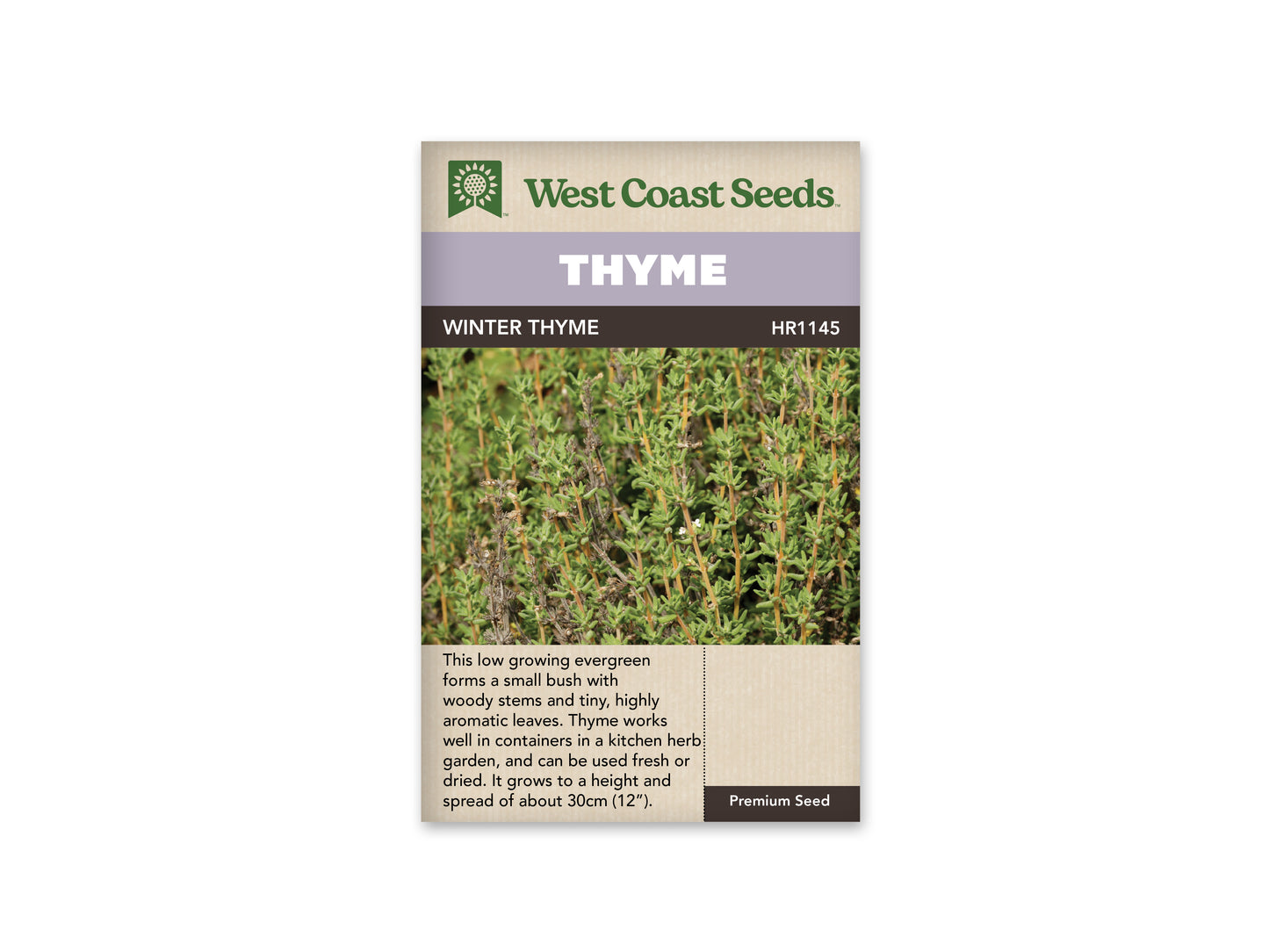 Thyme "Winter Thyme" West Coast Seeds