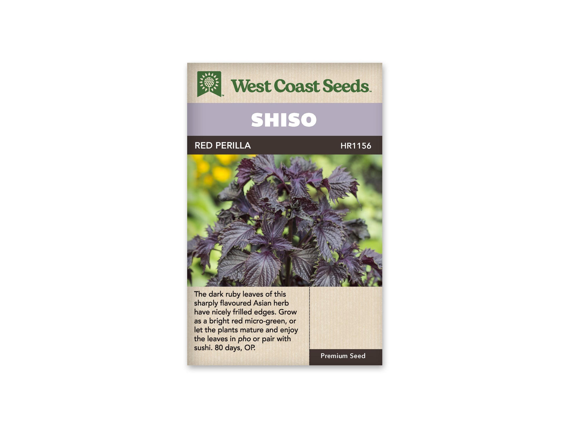 Shiso "Red Perilla Shiso" West Coast Seeds