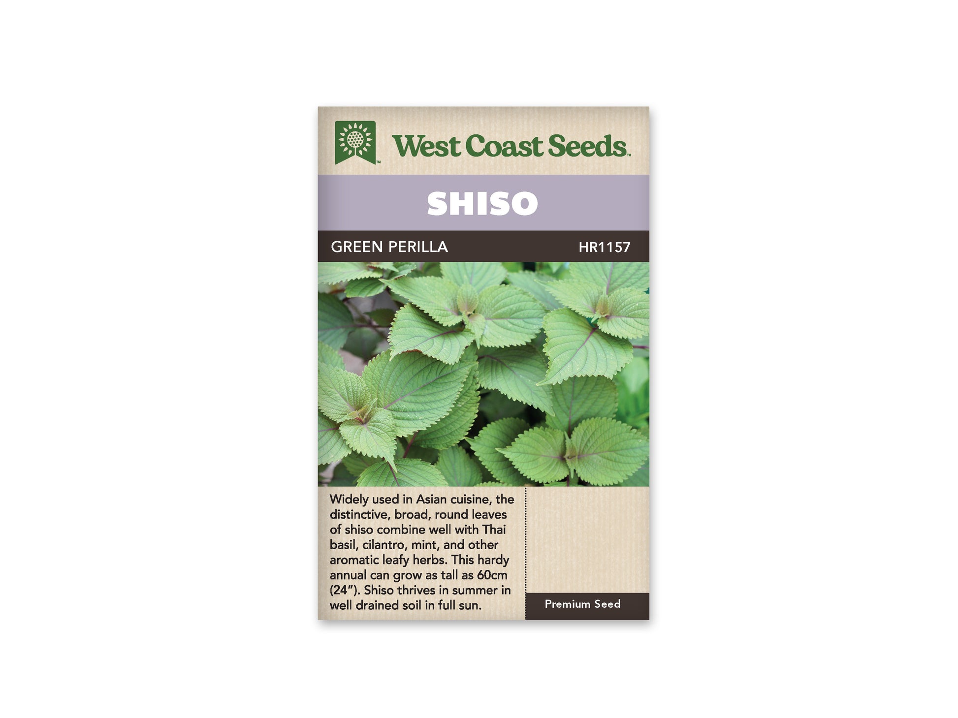 Shiso “Green Perilla Shiso” West Coast Seeds
