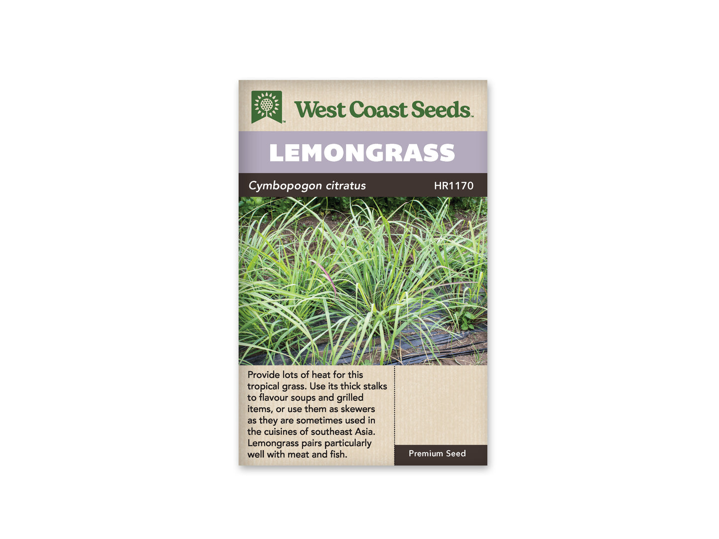 Lemongrass West Coast Seeds