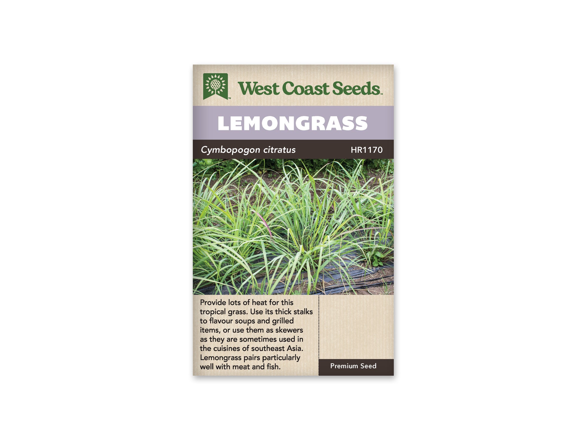 Lemongrass West Coast Seeds