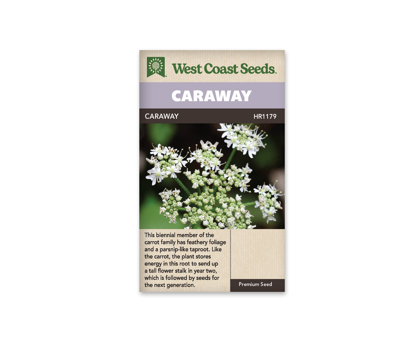 Caraway “Caraway” West Coast Seeds