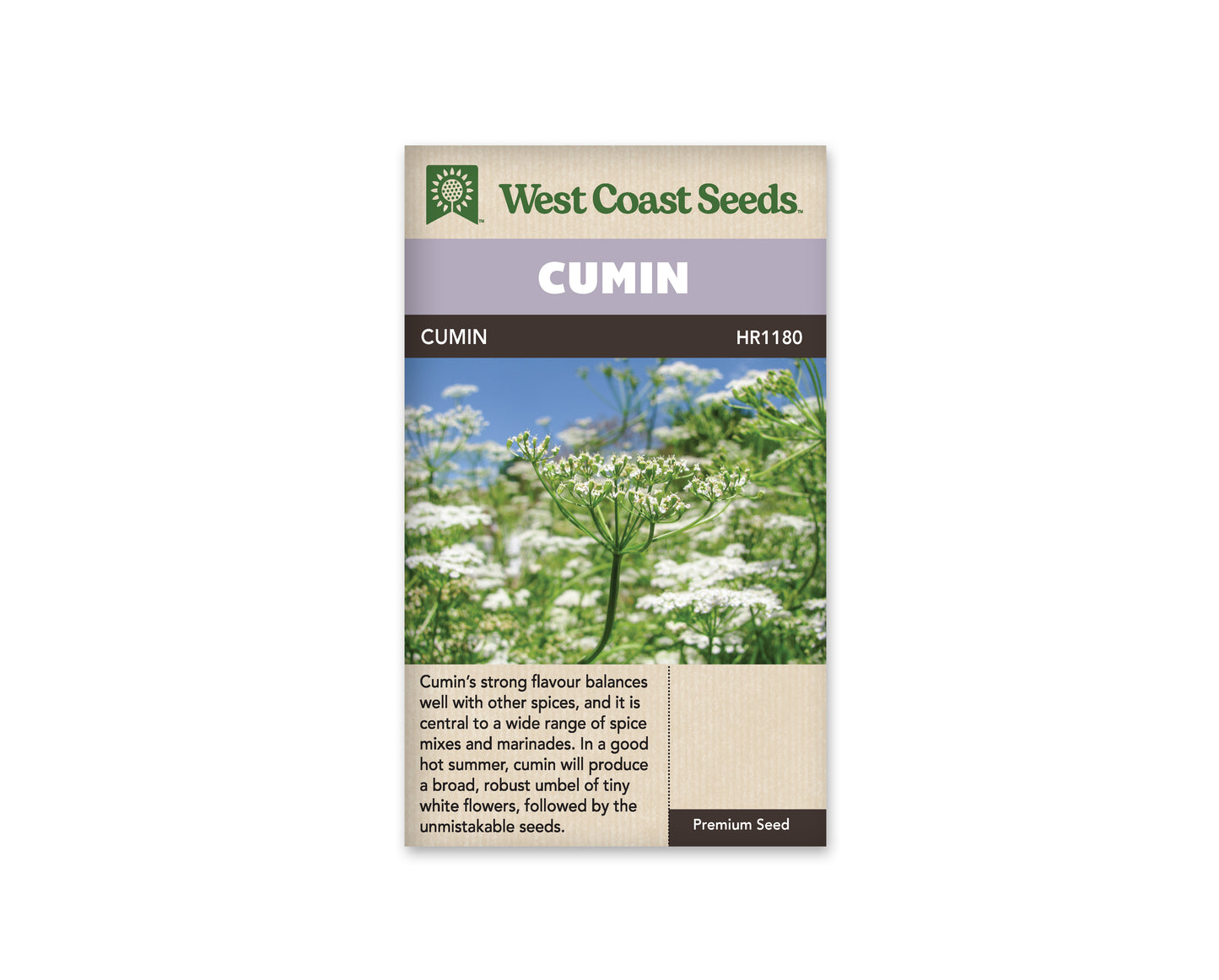 Cumin "Cumin" West Coast Seeds