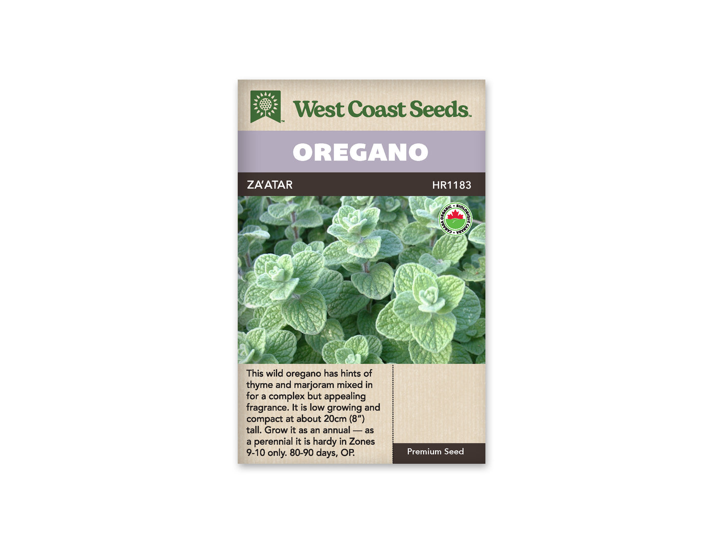 Oregano “Zaatar Organic” West Coast Seeds