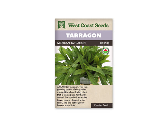 Tarragon “Mexican Organic” West Coast Seeds