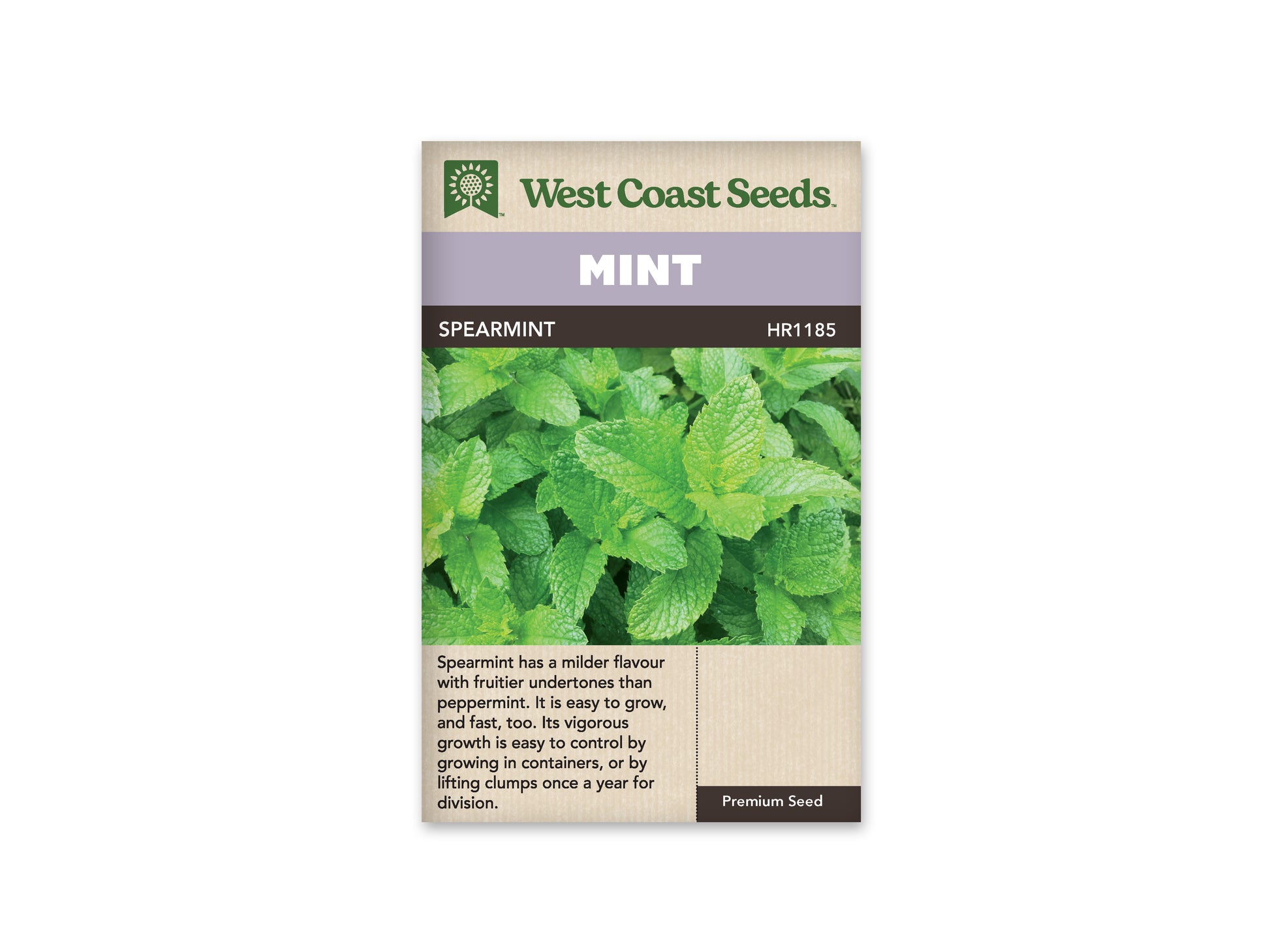 Mint "Spearmint" West Coast Seeds