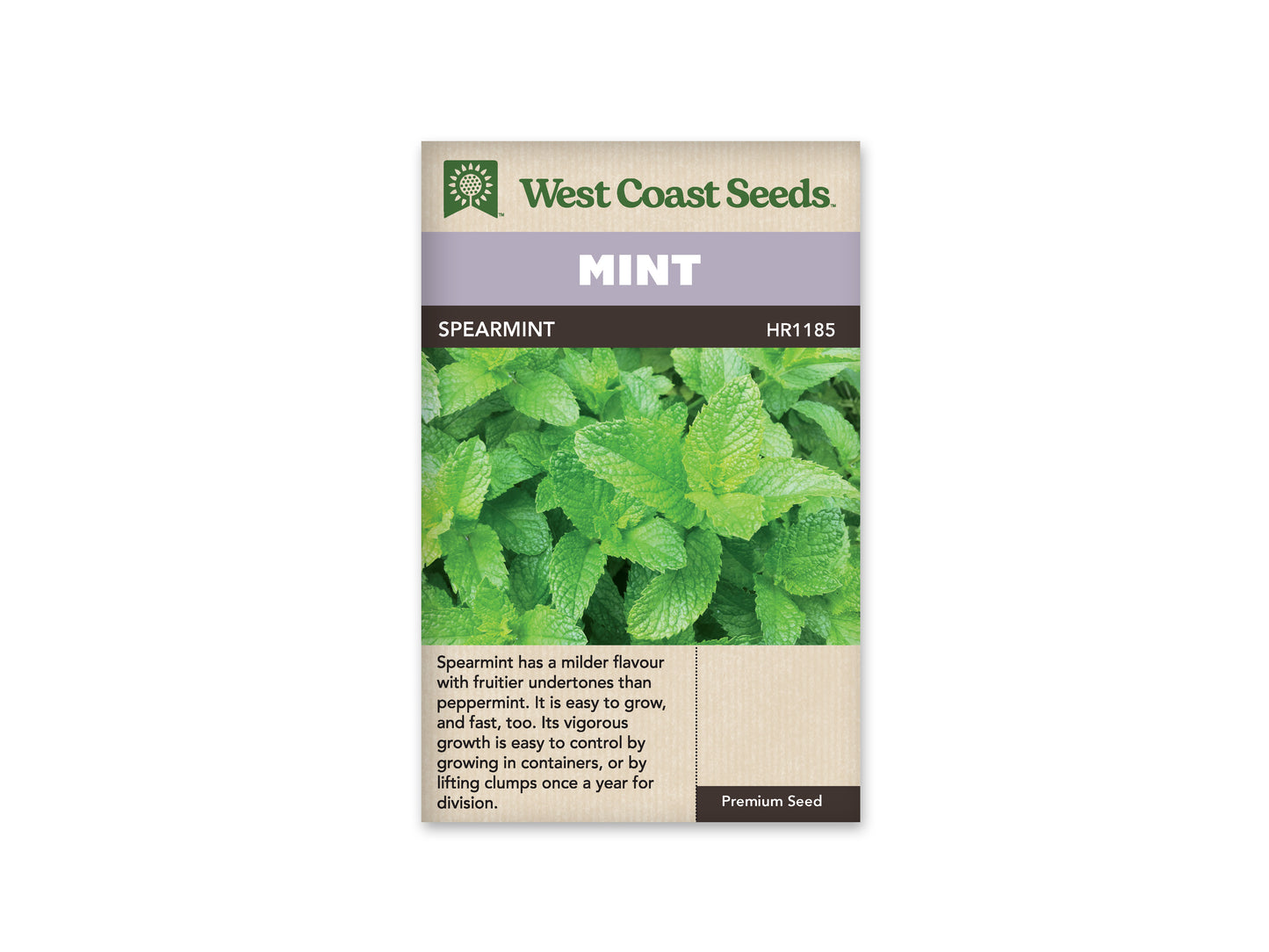 Mint "Spearmint" West Coast Seeds