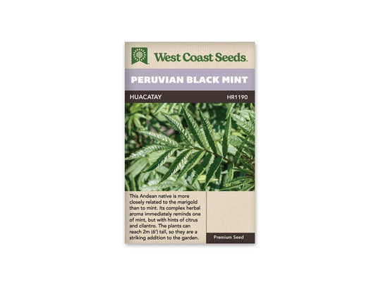 Mint "Peruvian Black Mint" West Coast Seeds