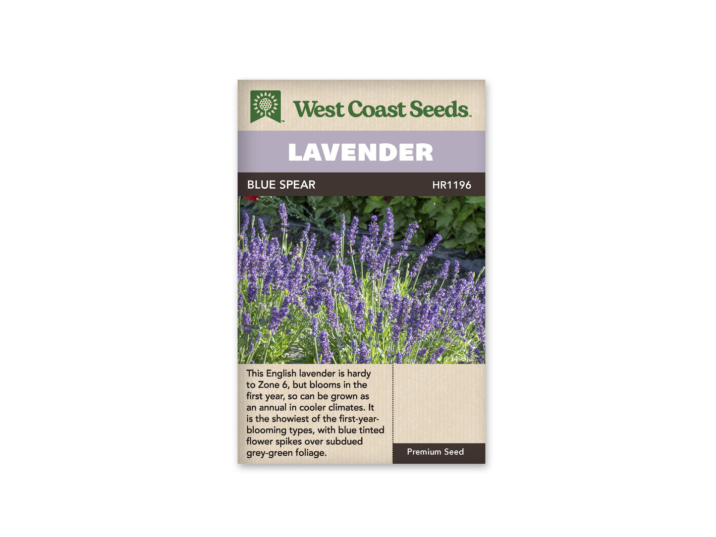 Lavender "Blue Spear" West Coast Seeds