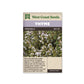 Thyme “Orangelo” West Coast Seeds