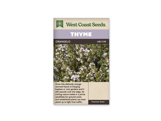 Thyme “Orangelo” West Coast Seeds