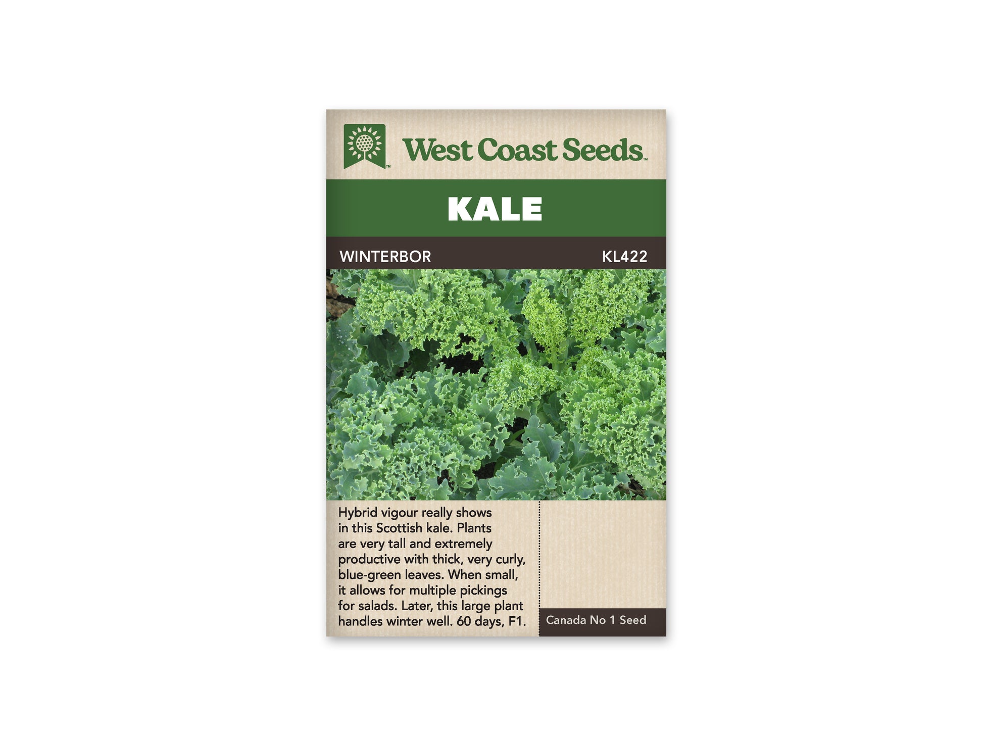 Kale “Winterbor F1” West Coast Seeds