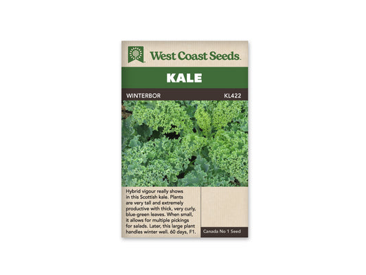 Kale “Winterbor F1” West Coast Seeds