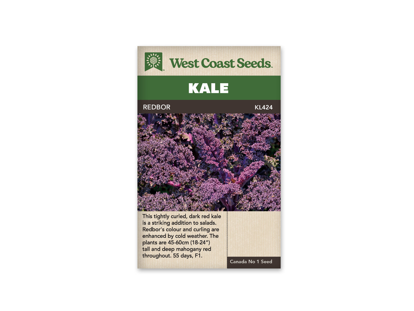 Kale "Redbor F1 Coated" West Coast Seeds