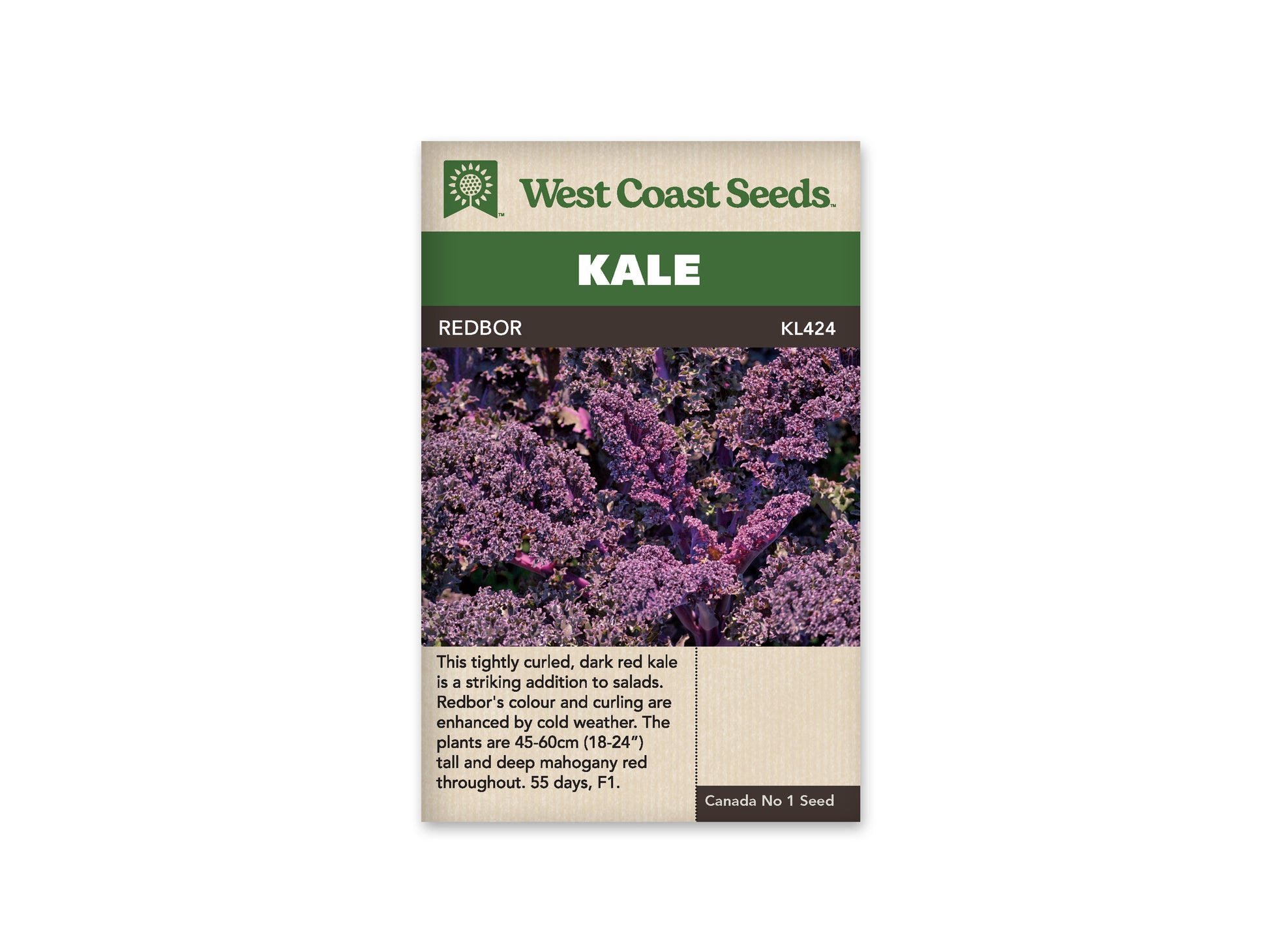 Kale "Redbor F1 Coated" West Coast Seeds