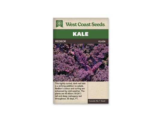 Kale "Redbor F1 Coated" West Coast Seeds