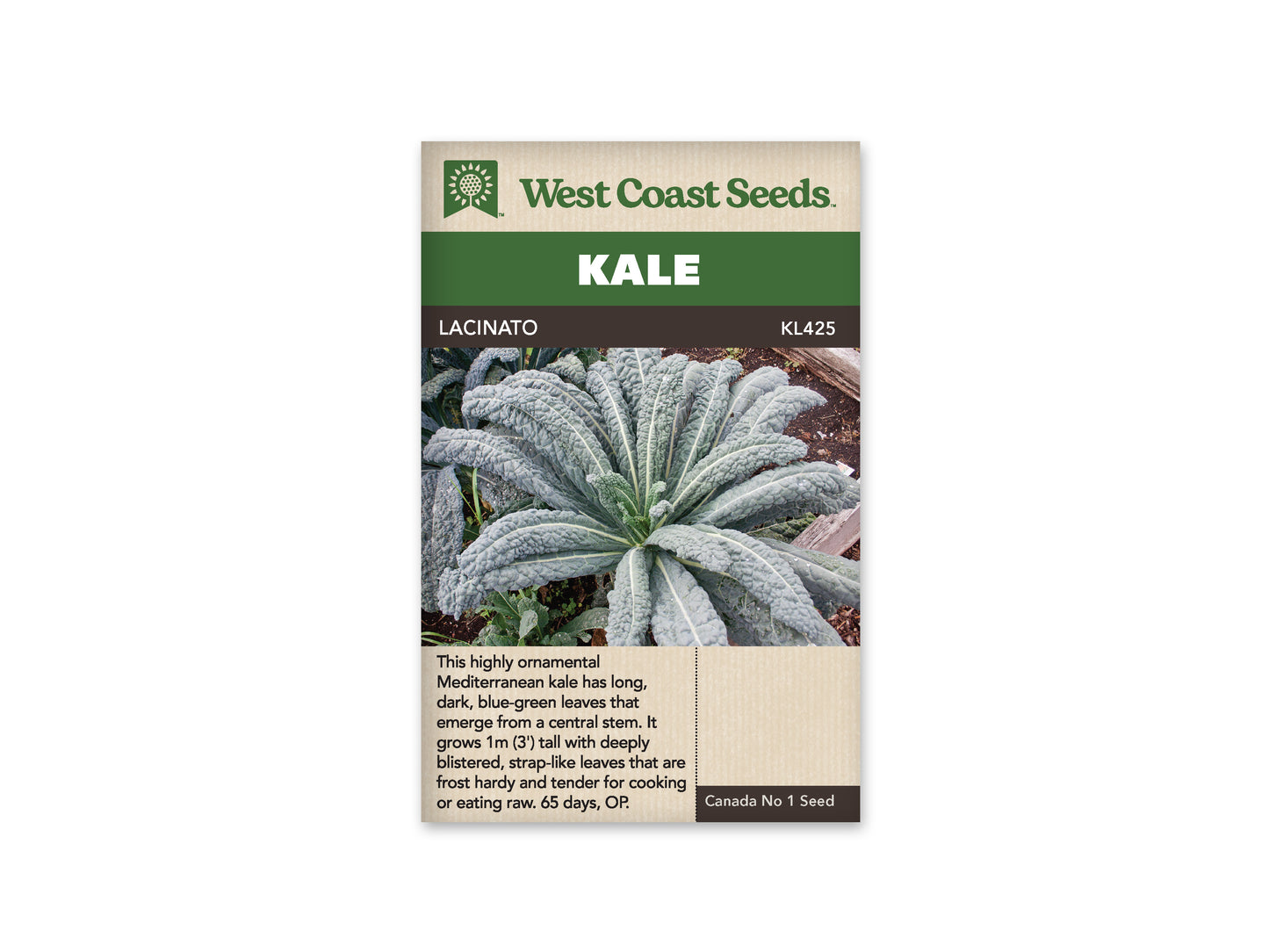 Kale “Lacinato” West Coast Seeds