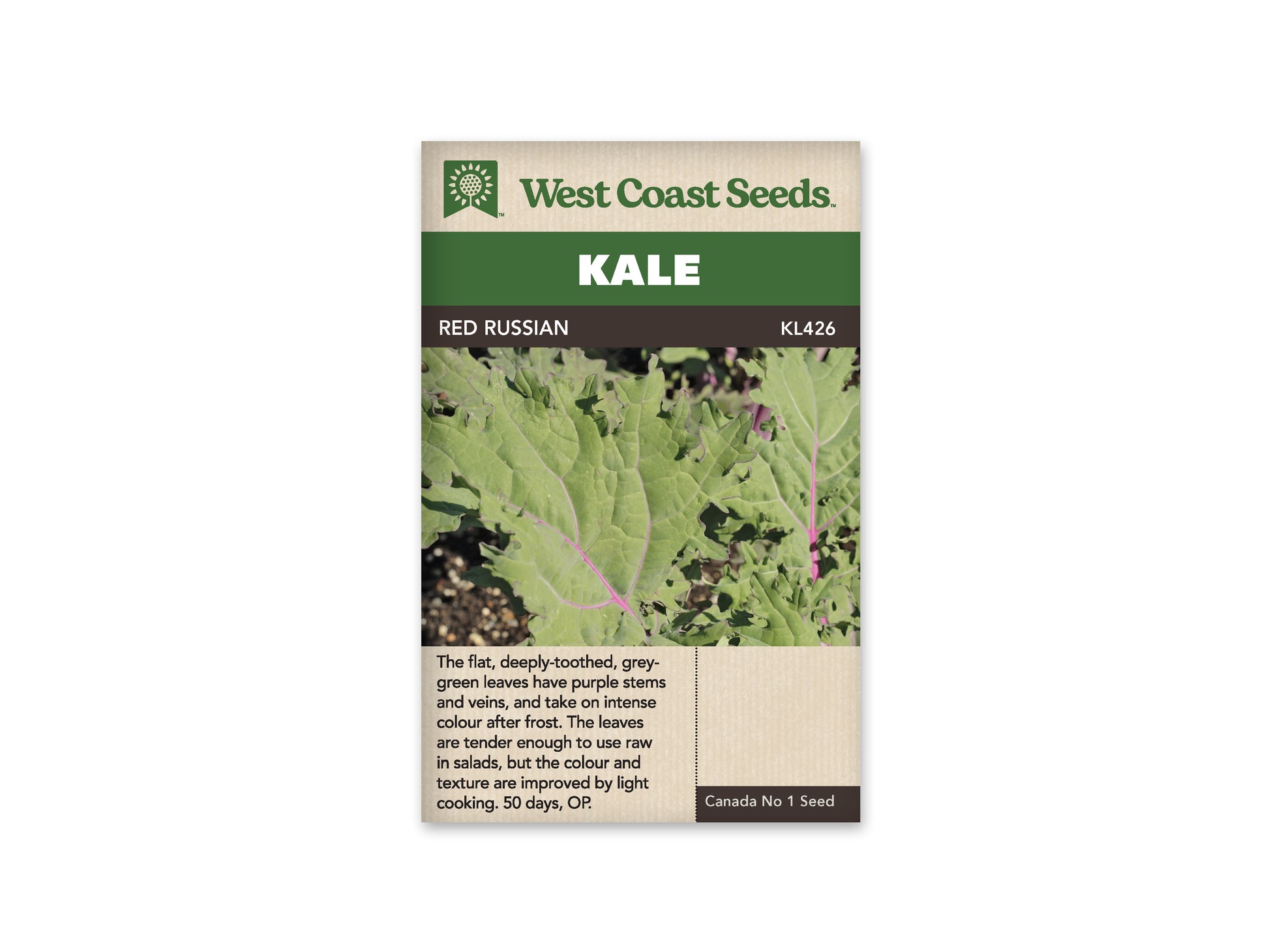 Kale “Red Russian” West Coast Seeds