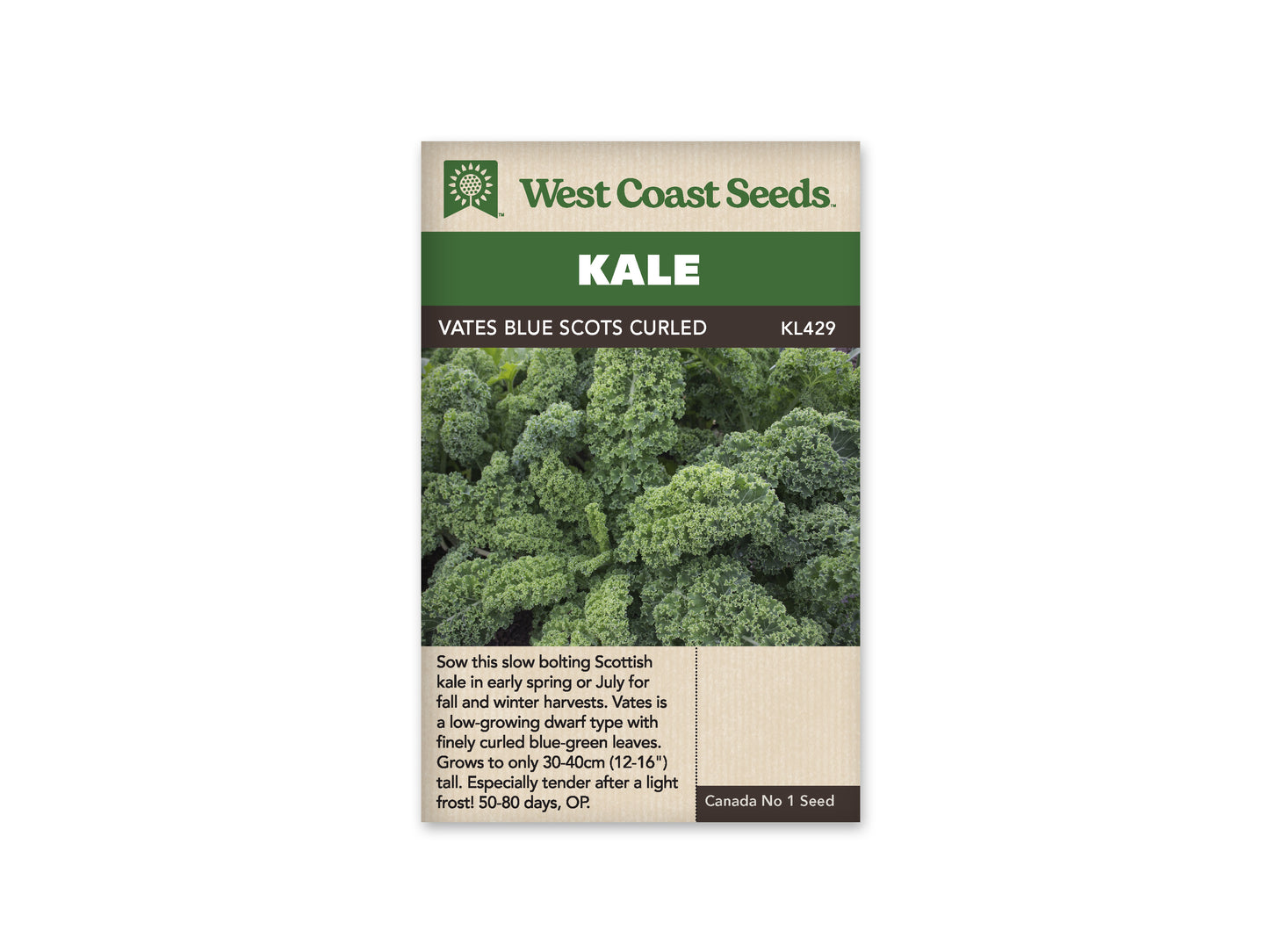 Kale “Vates Blue Curled Scotch” West Coast Seeds