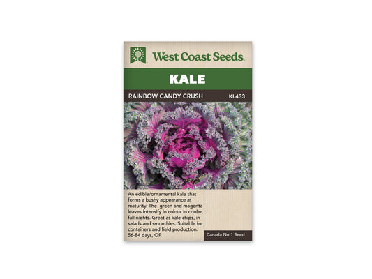Kale "Rainbow Candy Crush F1" West Coast Seeds