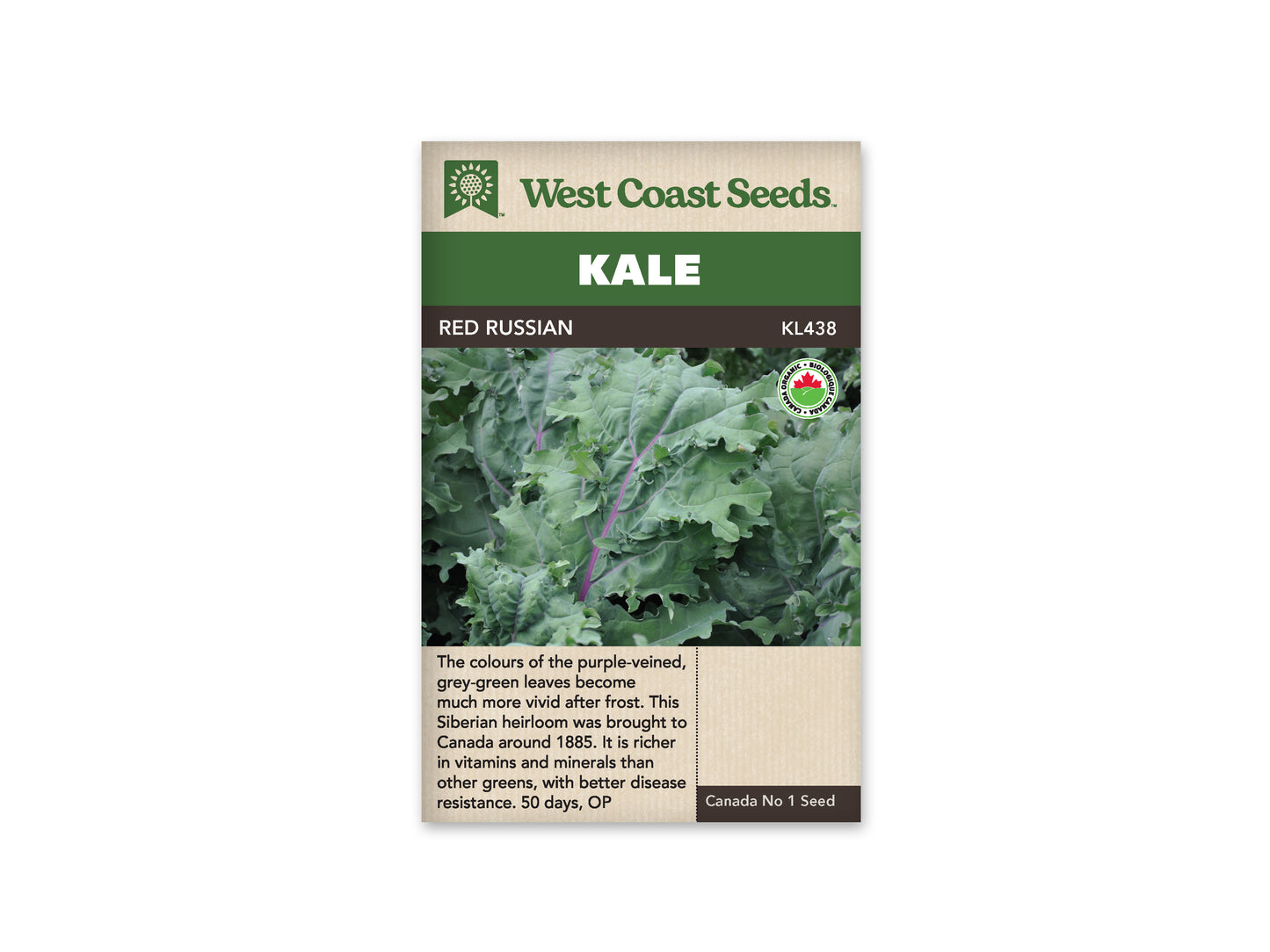 Kale "Red Russian Organic" West Coast Seeds