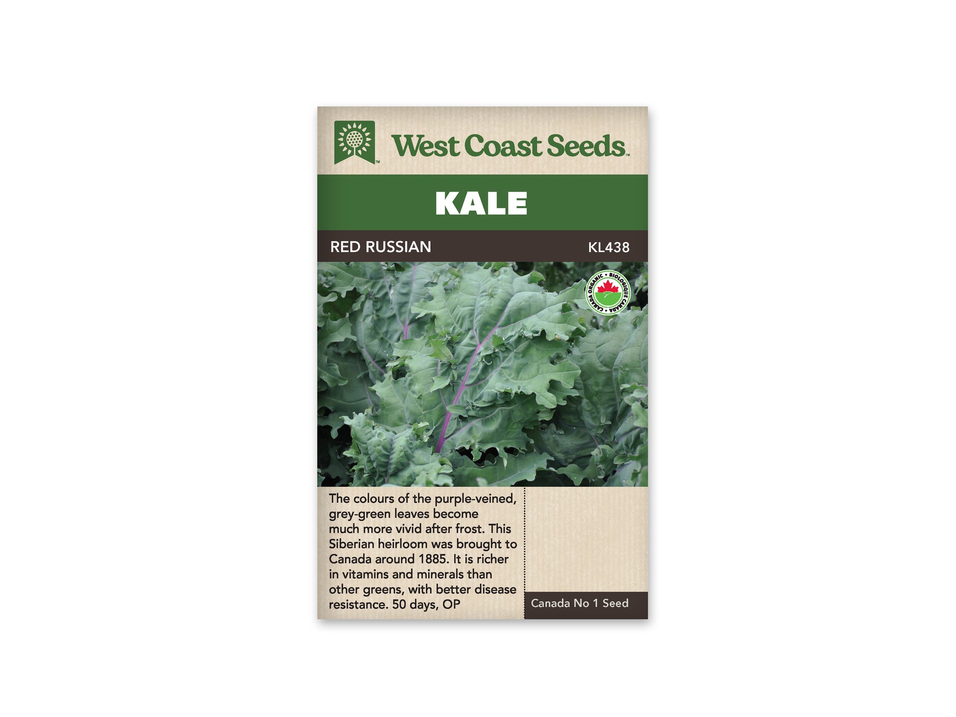 Kale "Red Russian Organic" West Coast Seeds