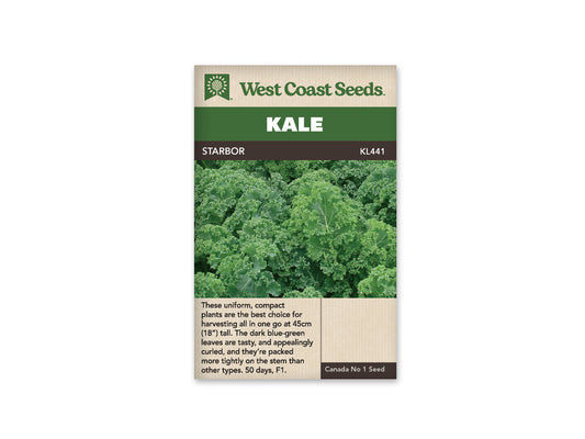 Kale “Starbor F1” West Coast Seeds