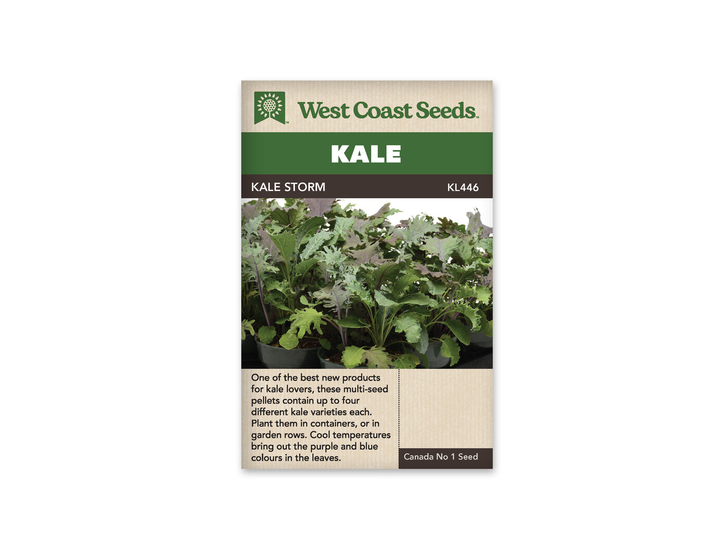 Kale “Storm” West Coast Seeds