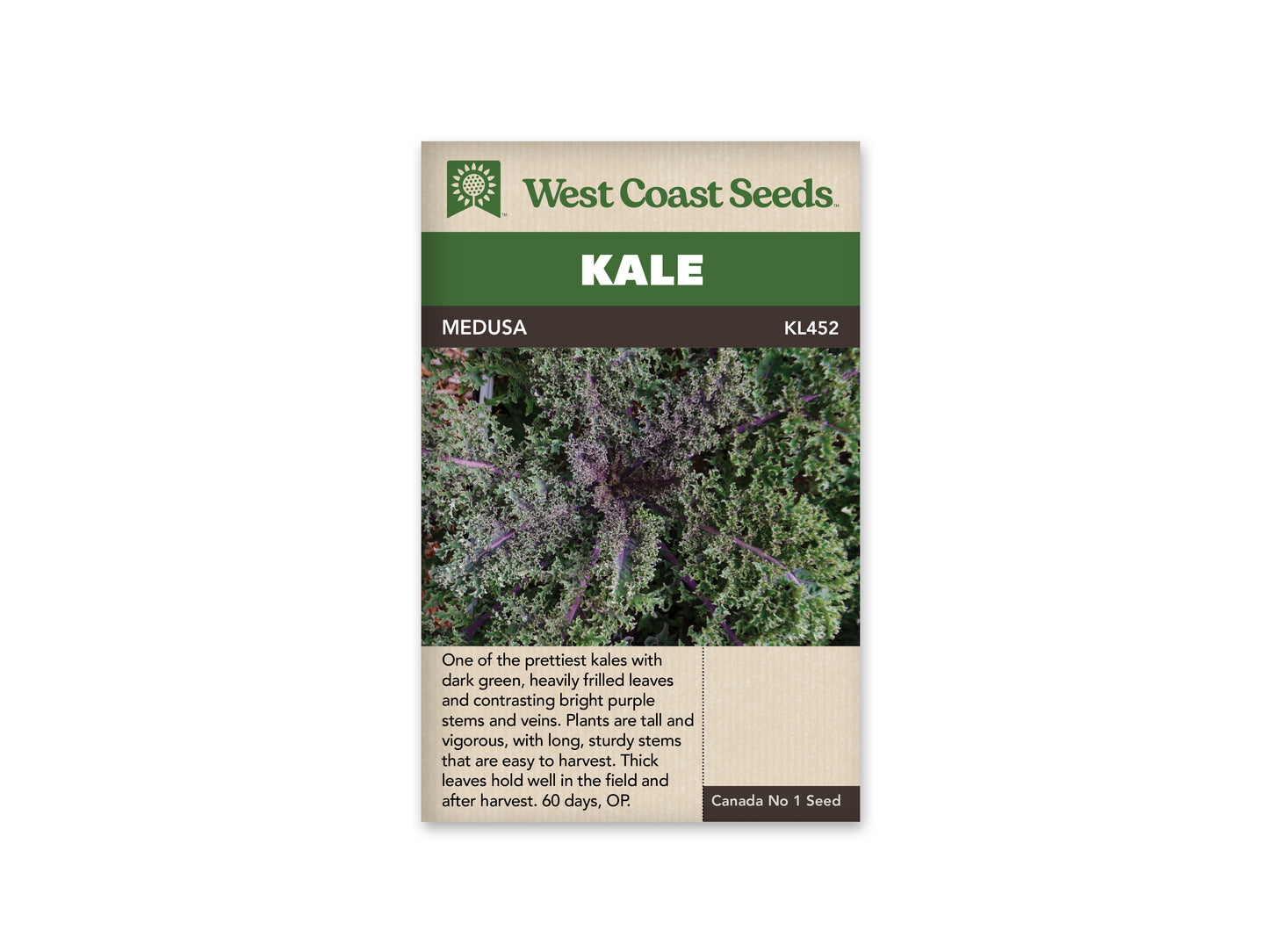 Kale "Medusa" West Coast Seeds