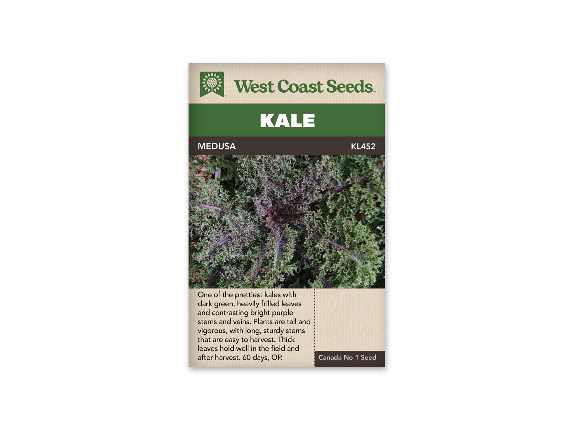 Kale “Medusa” West Coast Seeds