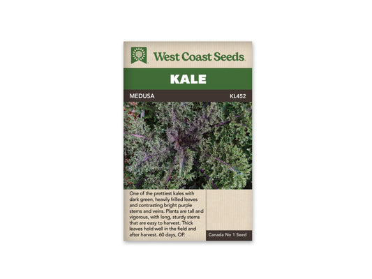 Kale “Medusa” West Coast Seeds