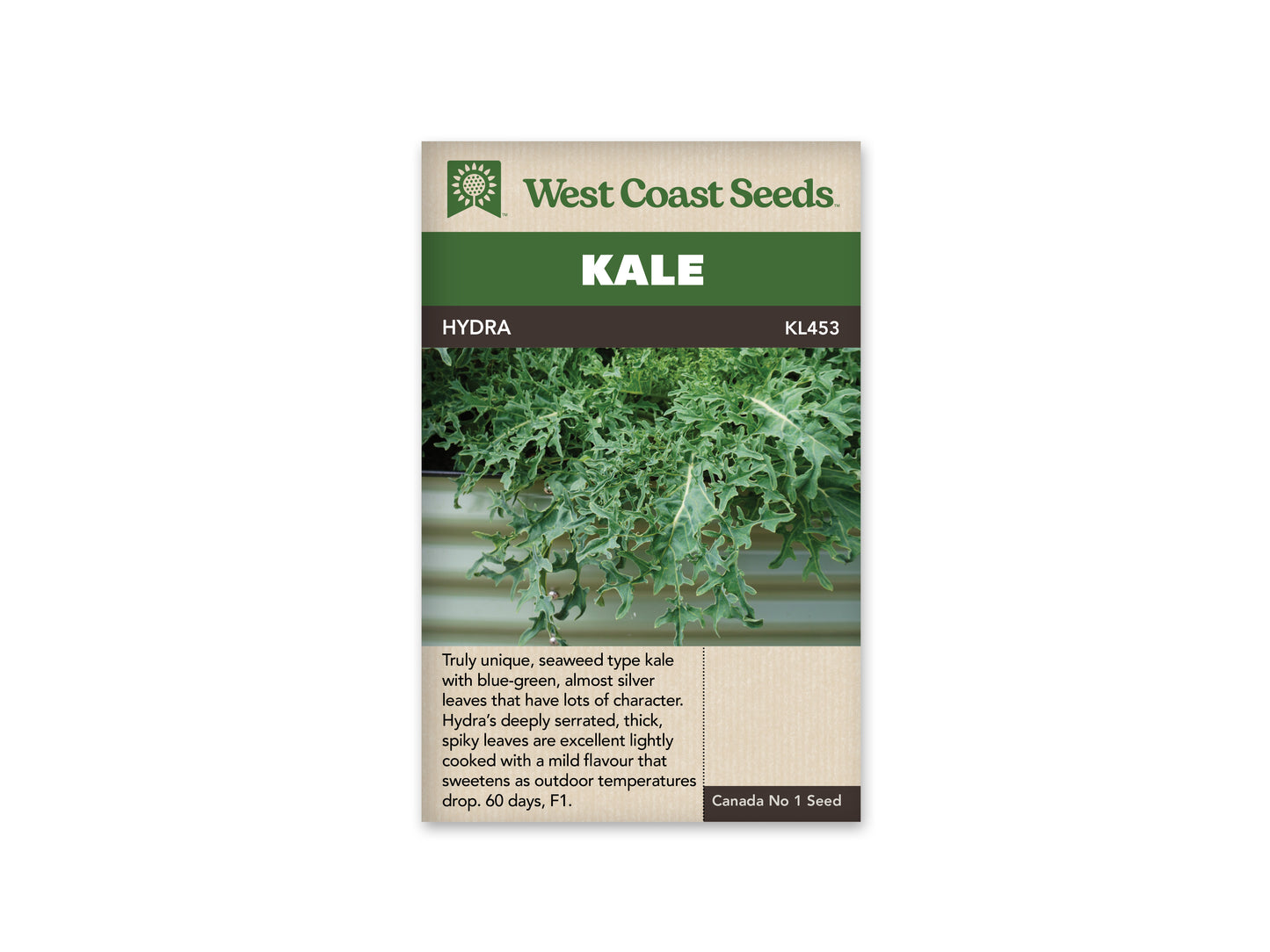 Kale "Hydra F1" West Coast Seeds