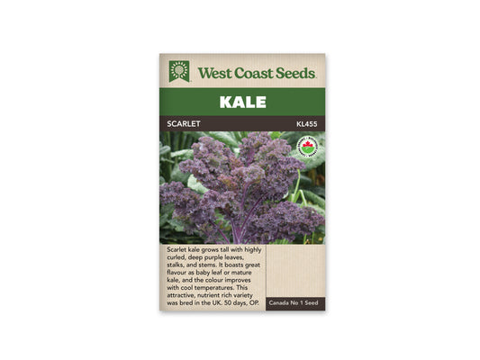 Kale “Scarlet Organic” West Coast Seeds