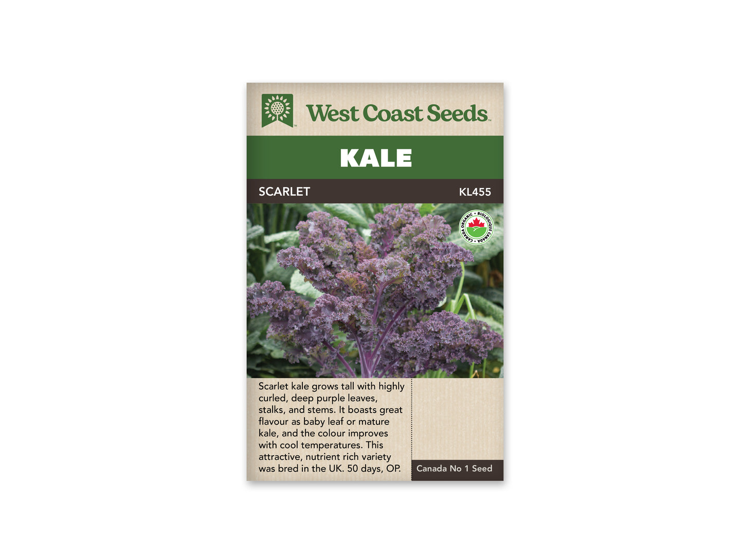 Kale "Scarlet Organic" West Coast Seeds