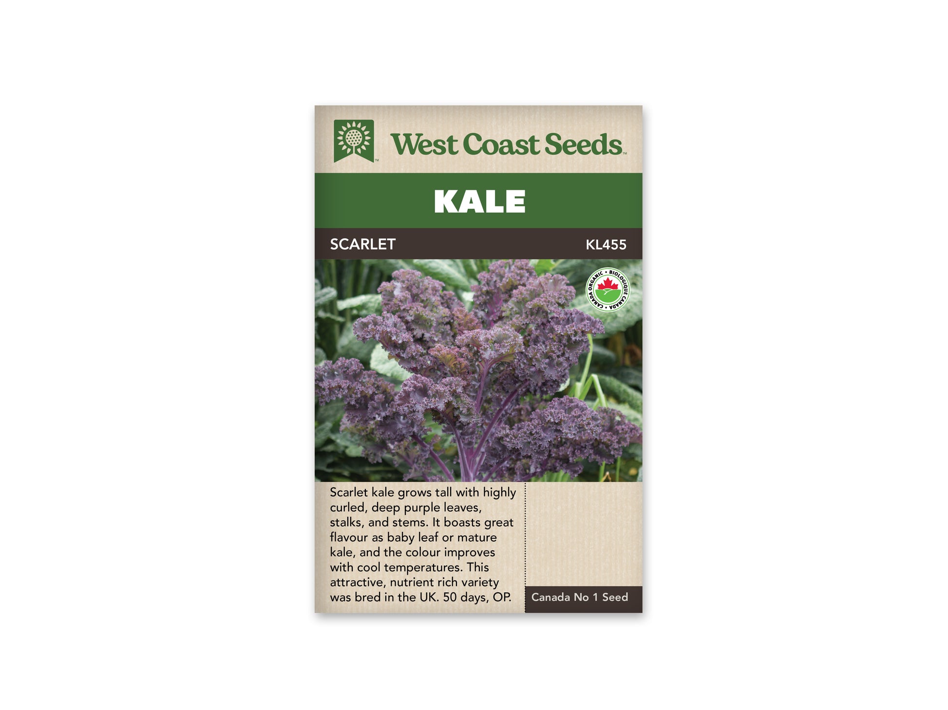 Kale "Scarlet Organic" West Coast Seeds