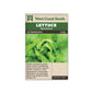 Lettuce "Buttercrunch" West Coast Seeds