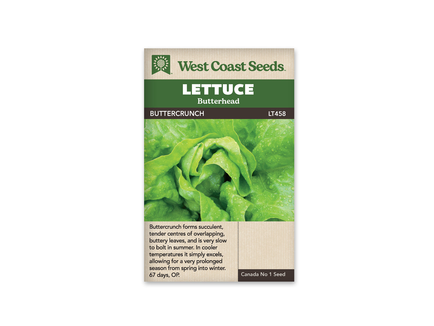 Lettuce "Buttercrunch" West Coast Seeds