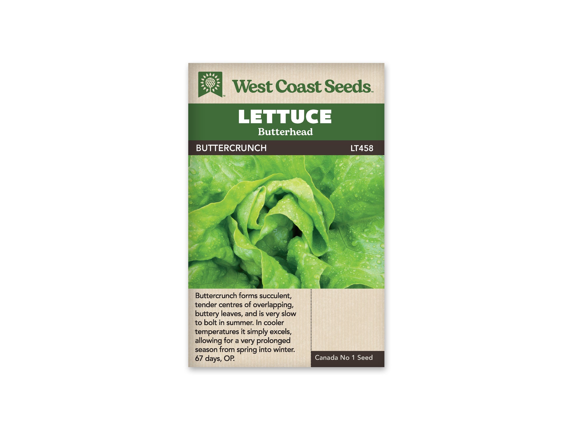 Lettuce “Buttercrunch” West Coast Seeds
