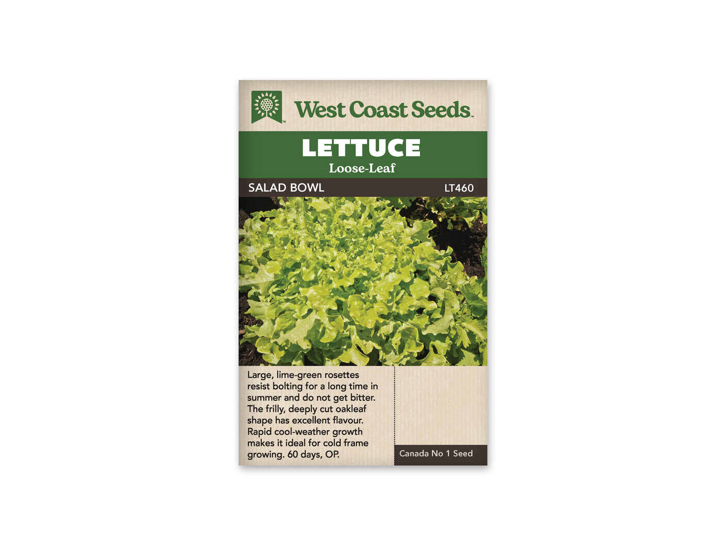 Lettuce “Salad Bowl Green” West Coast Seeds