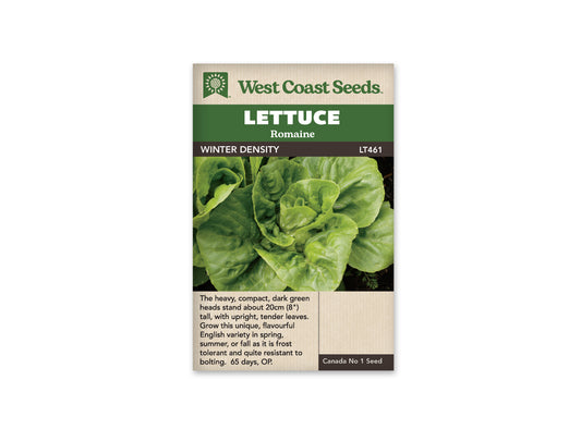Lettuce “Winter Density” West Coast Seeds