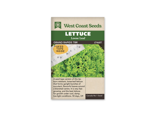 Lettuce "Grand Rapids TBR Seed Tape (2 x 2.5m)" West Coast Seeds