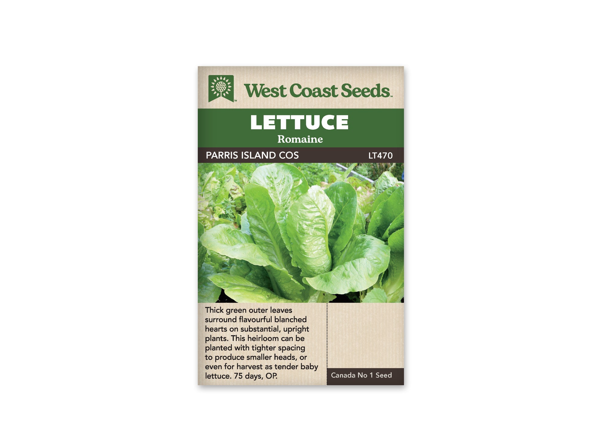 Lettuce “Parris Island” West Coast Seeds