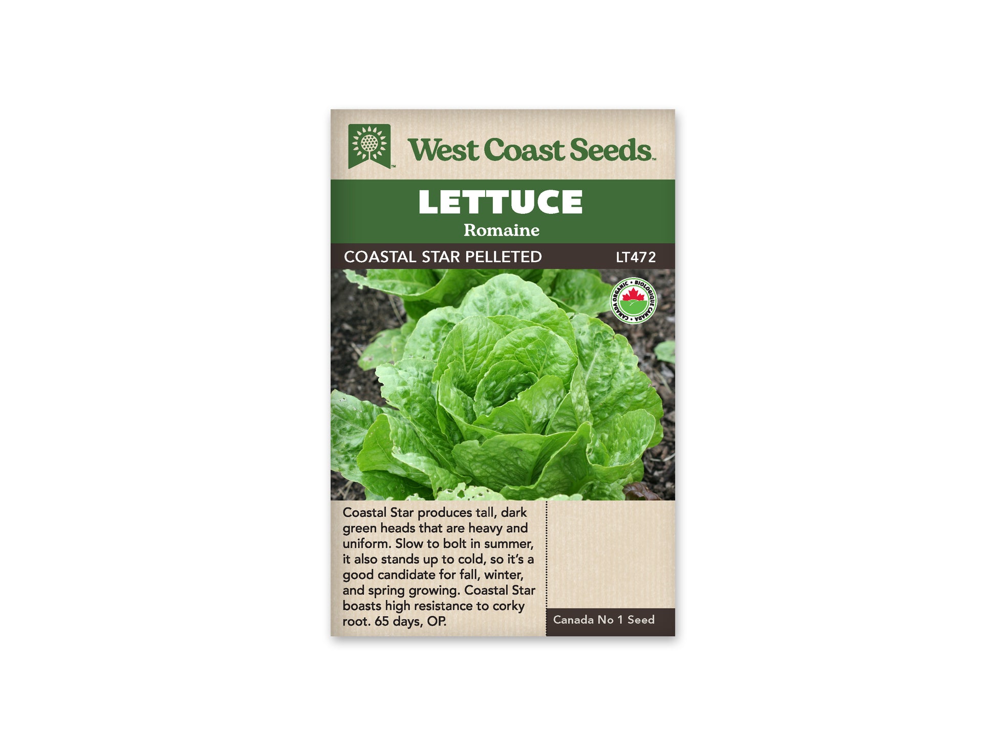Lettuce “Coastal Star Pelleted Organic” West Coast Seeds