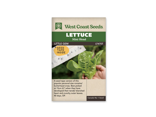 Lettuce "Little Gem Seed Tape (2 x 2.5m)" West Coast Seeds