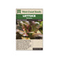 Lettuce "Rouge d'Hiver" West Coast Seeds