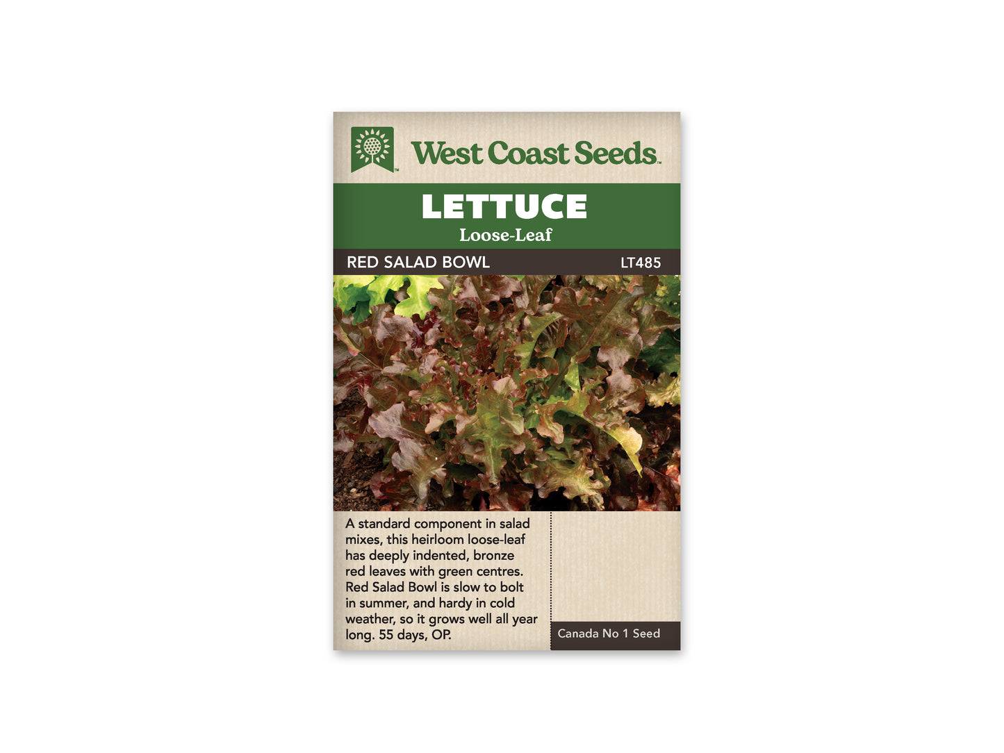 Lettuce "Salad Bowl Red" West Coast Seeds