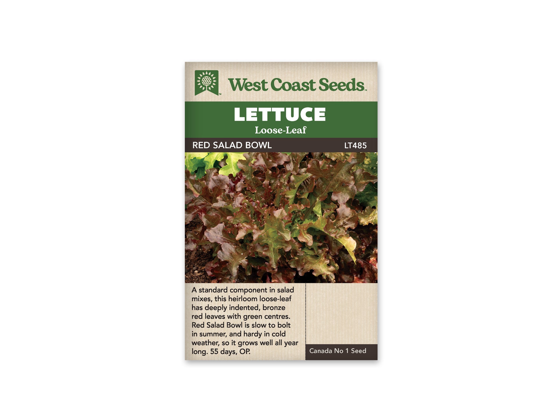 Lettuce "Salad Bowl Red" West Coast Seeds