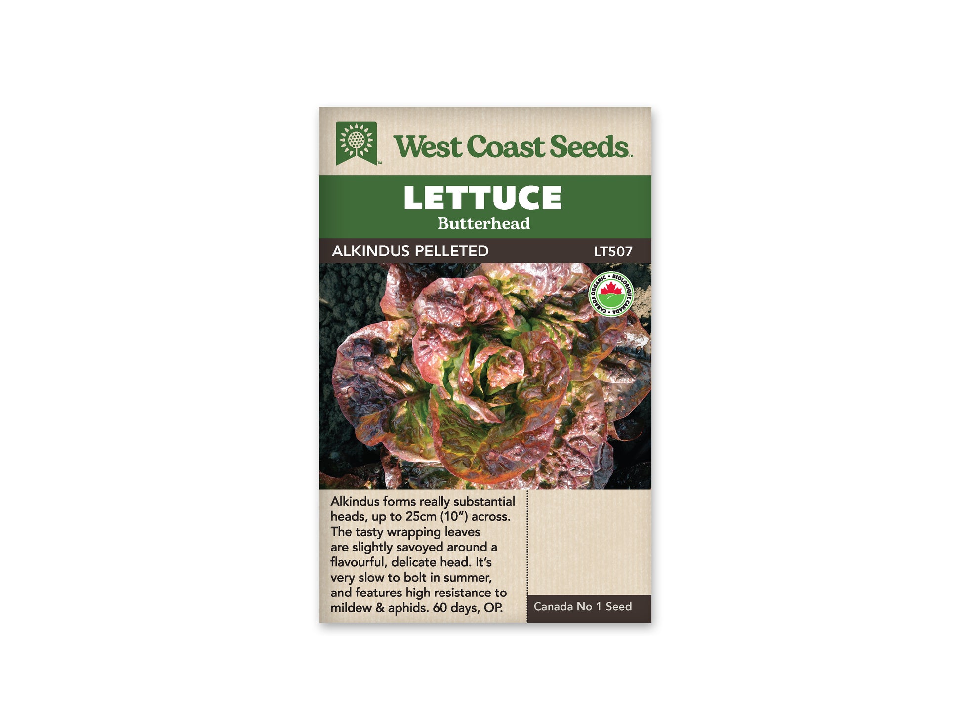 Lettuce “Alkindus Pelleted Organic” West Coast Seeds