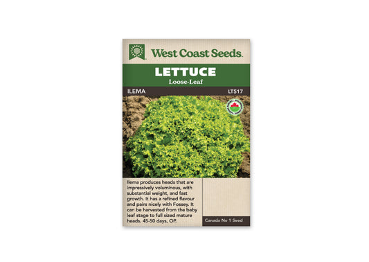 Lettuce “Ilema Organic” West Coast Seeds