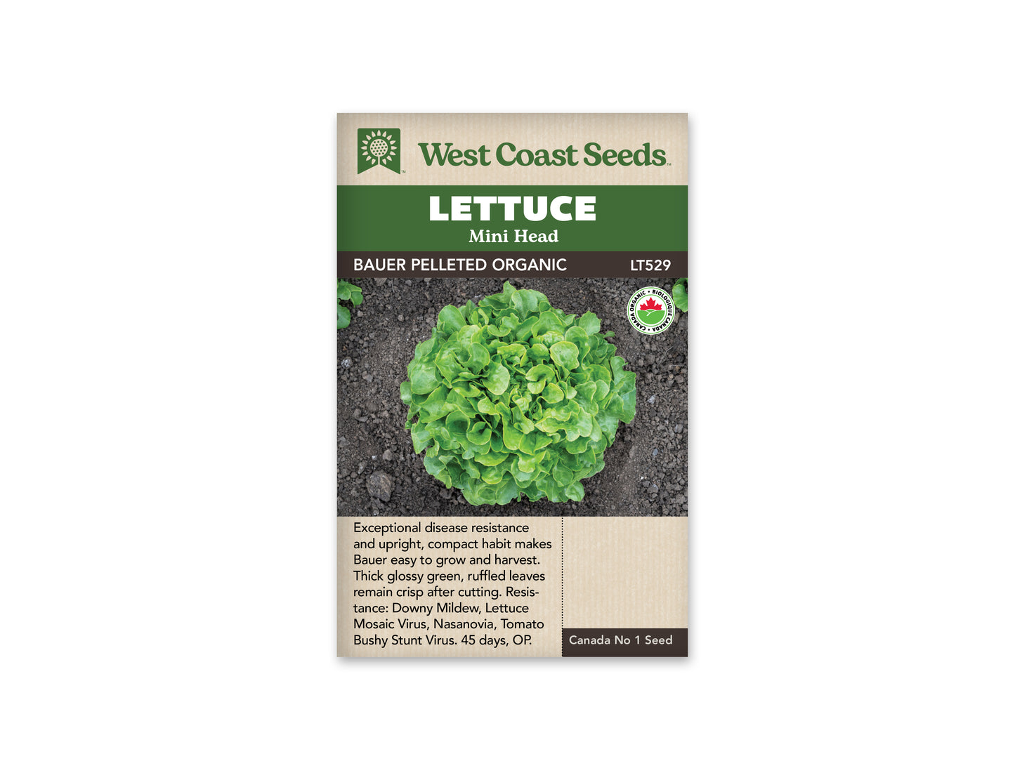 Lettuce "Lovelock Organic" West Coast Seeds